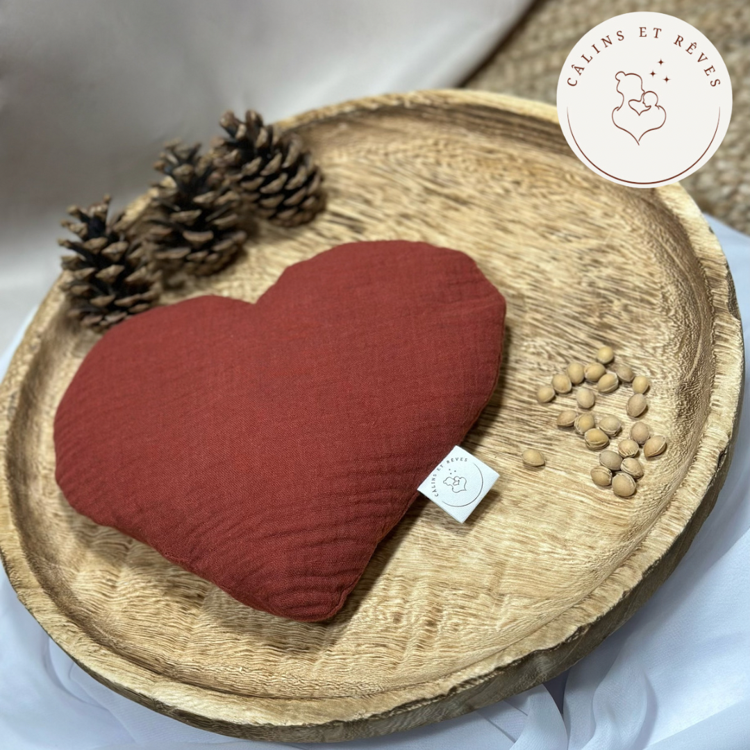 bouillotte sèche aux noyaux de cerises
