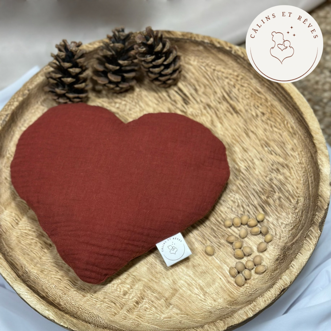 bouillotte sèche aux noyaux de cerises