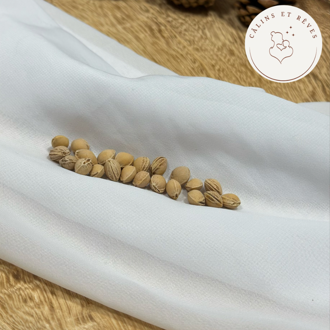bouillotte sèche aux noyaux de cerises