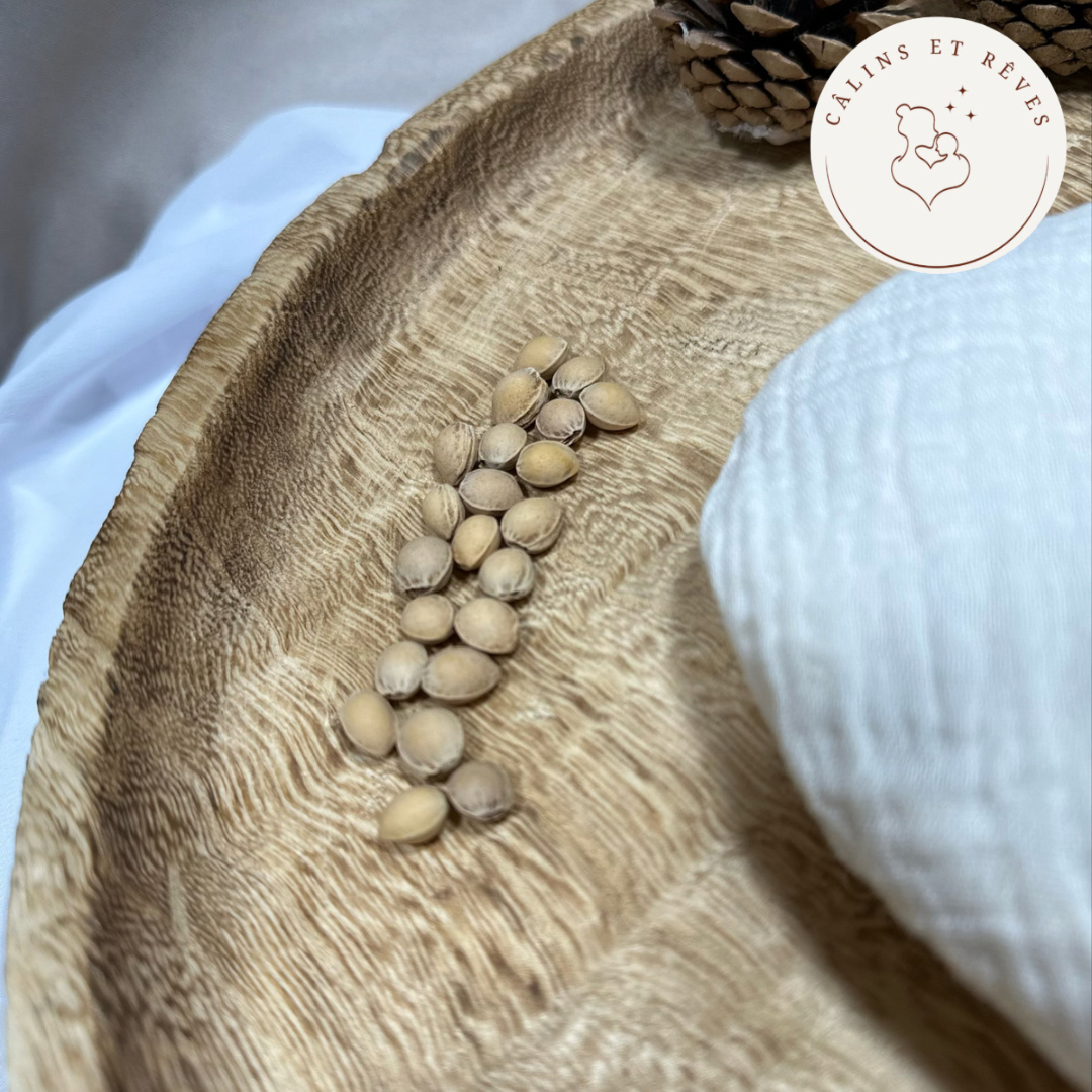 bouillotte sèche aux noyaux de cerises